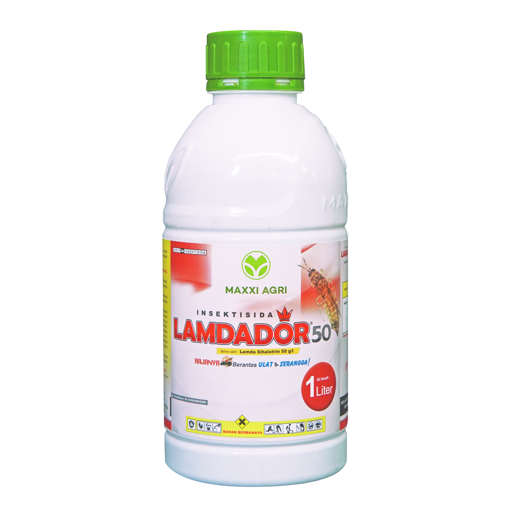 1 liter