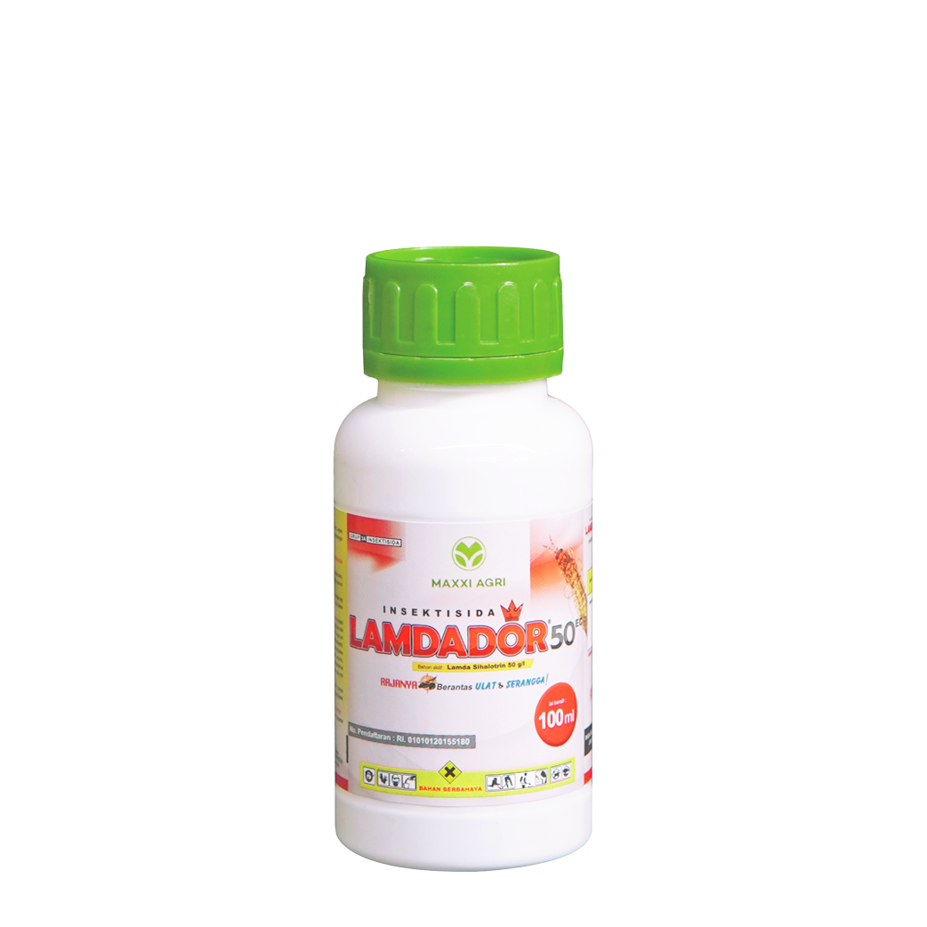 100 ml