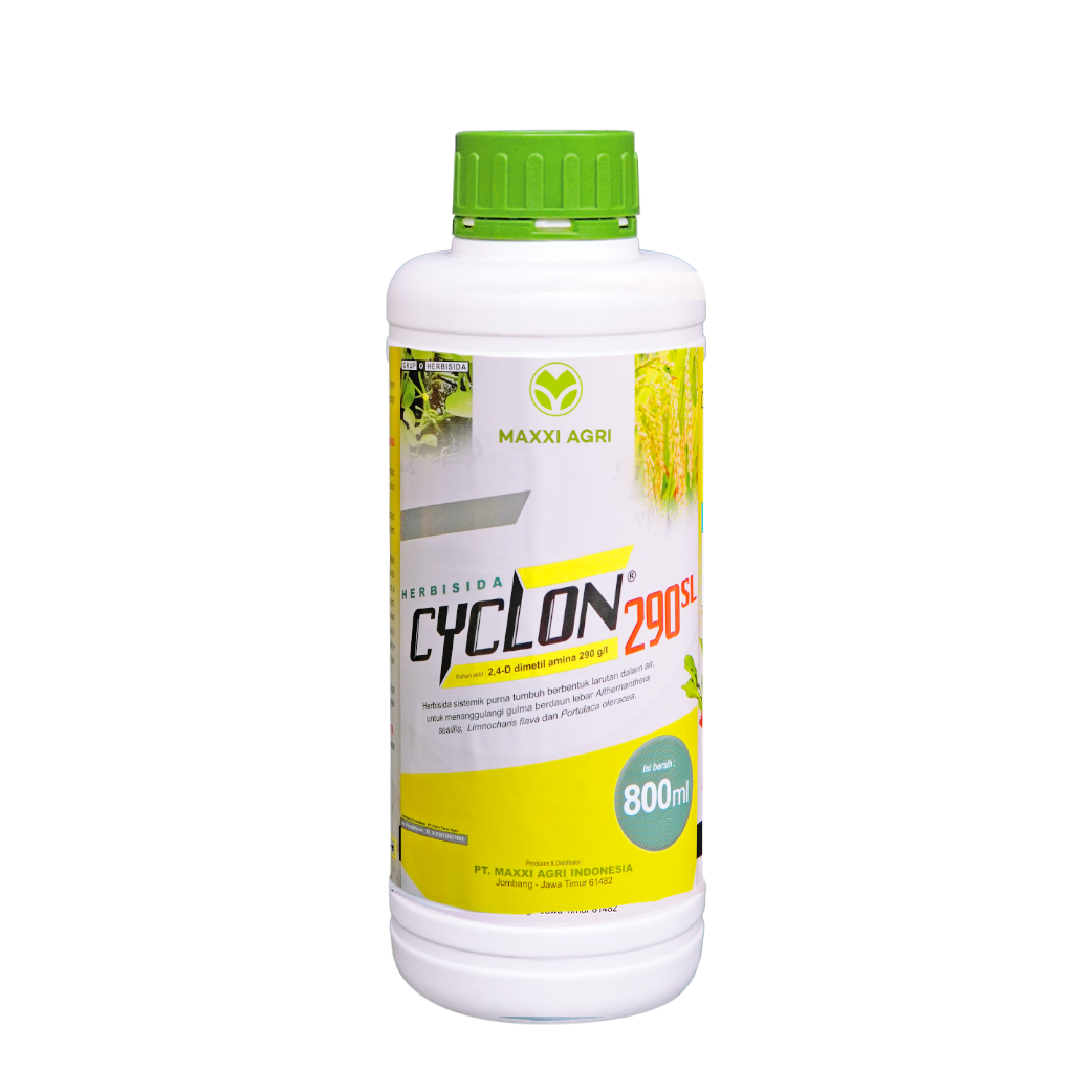 800 ml