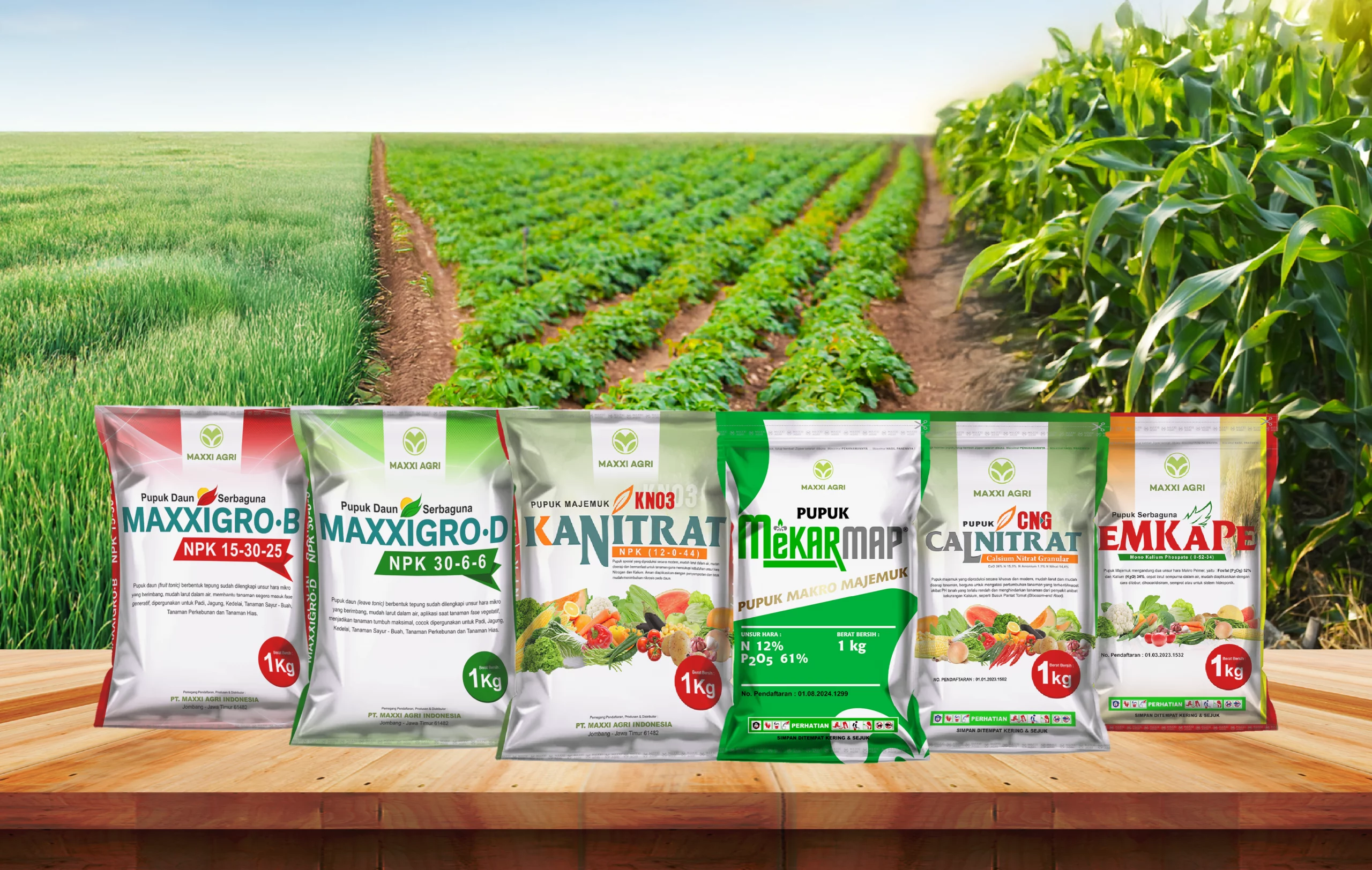 Tingkatkan Produktivitas dengan Pupuk Andalan Maxxi Agri!