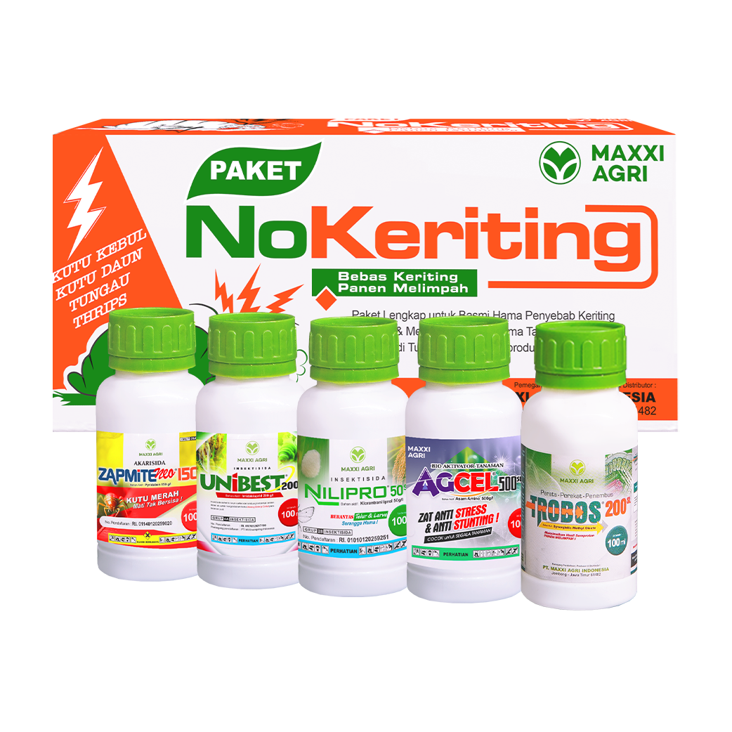 Paket No Keriting