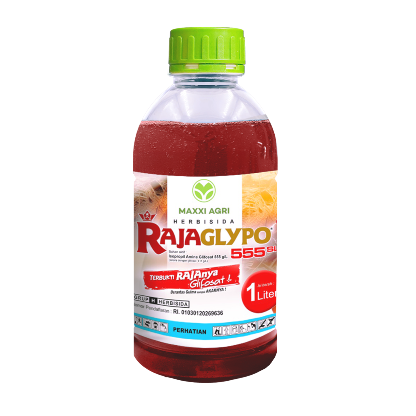 Raja Glypho 555SL